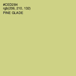#CED284 - Pine Glade Color Image